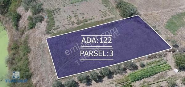 Çanakkale Biga Adliye Köy 1.342 M2 Fırsat İmarlı Arsa