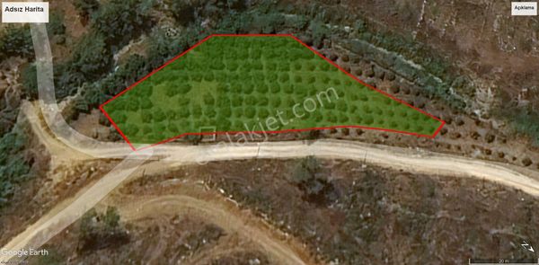 Lemas Emlak : Büyükeceli Satılık Bahçe