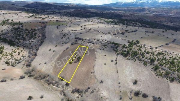 Ilgın Yukarıçiğilde 5.896 M2 Müstakil Tapulu Tarla