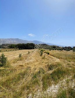 Oyma Pınarı Seki Mahallesi'nde 1600 Metre Hisseli Tarla Satılık