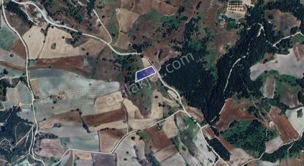 Sındırgı Yüreğil Merkez'de Kadastrol Yolu Olan Satılık Tarla