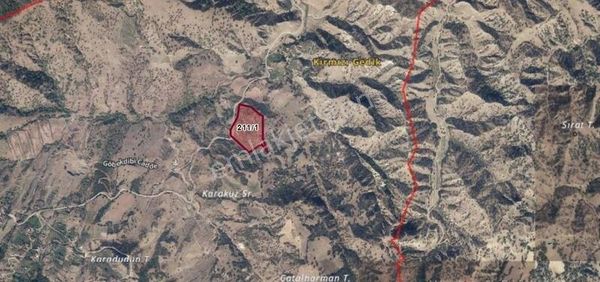 Alaşehir Göbekli'de 32.646 M2 Satılık Zeytinlik