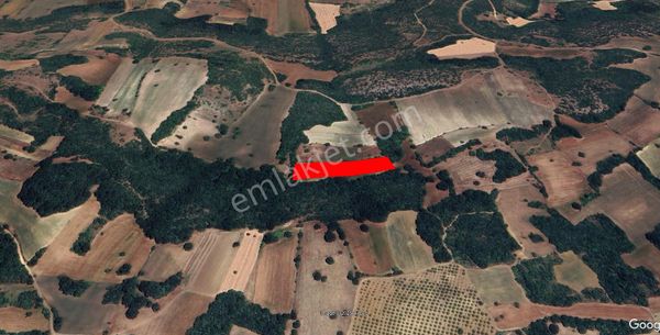 Roma' Dan Çavuşköy Mahallesi' Nde Satılık Tarla