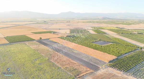 Manisa Şehzadeler Tekeliler Mahallesi'nde Satılık 8.000 M² Tarla