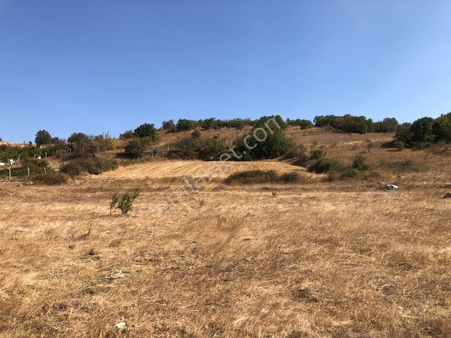 Cb King'den Balıkesir / Altıeylül Selimiye Mahallesi Satılık Tarla