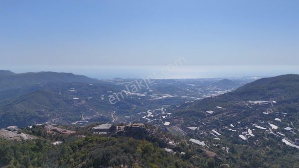 Alanya Mahmutseydi Mahallesi Satılık 2.500m2 Full Hd Deniz Manzaralı Ev Yapmaya Uygun Tarla