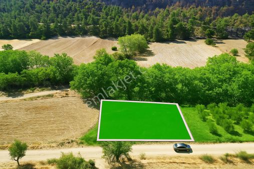 Çanakkale Geliboluda Müstakil Tapulu Yatırımlık Tarla Fırsatı