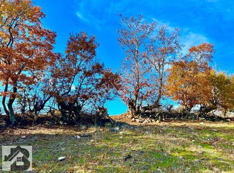 Tek Yetkili Akçay Best Emlak'tan İvrindi Bozörende 2.400m2 Tarla