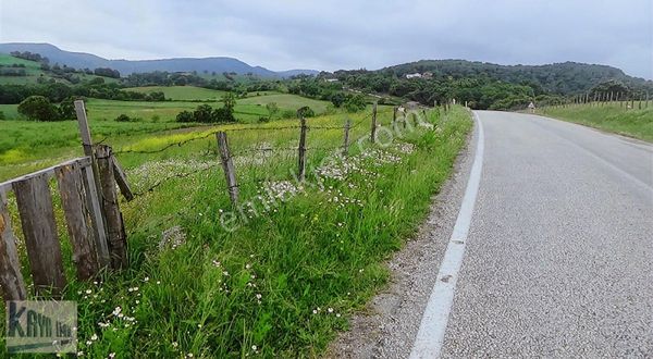 Asfalt Yola Cephe Tarla