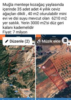 Muğla Kozağaç Yaylasında Satılık 6210 M2 Yer