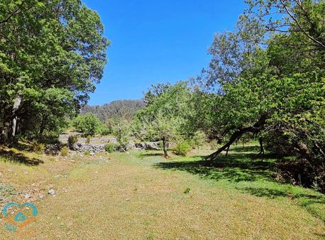 Mykonut'tan Nif 'te 5.783 M2. Köyiçi İmarlı Satılık Tarla