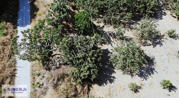 Nilüfer Fadıllı Da 675 Metrekare Hisseli Tapu Hobi Bahçesi