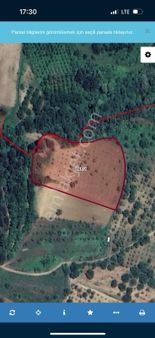 Bursa İnegöl Sarıpınar Köyünde 8.291 M2 6852m2 İki Tapu Toplam15.143m2 İmarlı Satılık Tarlalar