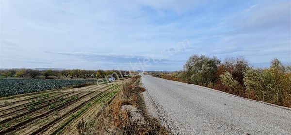 Menemen Mermerlide Satılık Fırsat Bağ