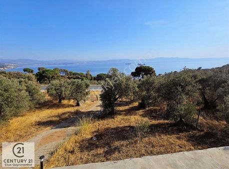 C21;cius Deniz Manzaralı Konteyner'li Yola Cephe Satılık Tarla