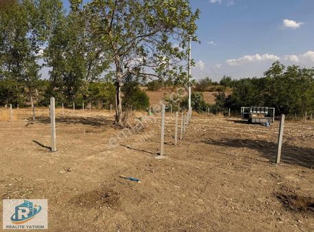 Kaynarcada Yerleşime Komşu Parseller