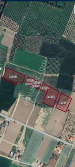 Balıkesir Burhaniye Gömeç İlcesinde Sevda Emlak'tan Kat Karşılığı Arsalar