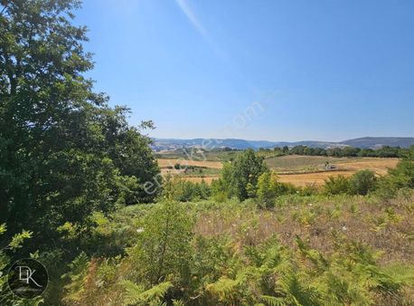 Deniz G.m.den Karamürsel Yalakdere De Satılık 12.533 M² Arazi