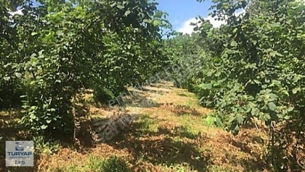 Turyap Körfez'den Sakarya Kaynarca'da Satılık Tarla