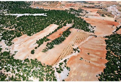 Ya Döşemealtı Akkoç Köyü Yatırımlık Satılık 7600m² Tarla