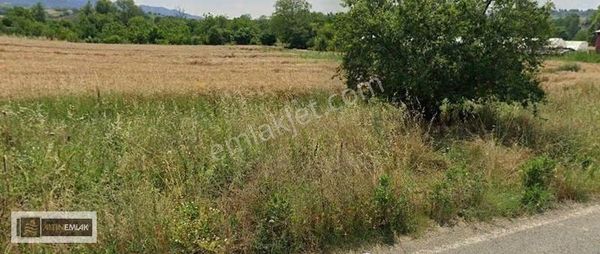 Tekirdağ Naip'te Seracılık İçin İdeal 5500 M2 Satılık Tarla