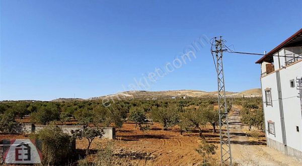 Yol Su Elektrik Var Böyle Fırsat Yok