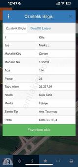 Kilis-antep Asfalt Üzeri Mülk 26 Dönüm
