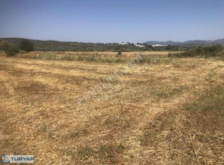 Bodrum Mumcular Satılık Tarla 2221 M2
