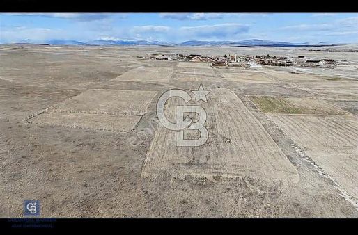 Afyon Başmakçı Küllüce'de Yeni Hayat Başlıyor