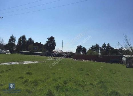 Yalova Merkez Safran Köyünde Satılık Tarla