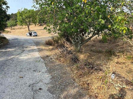 İzmir Kemalpaşa Da Villa İmarlı Arsa