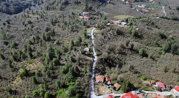 Perşembe Yeniköyde 2.350 M², Köy Yerleşik Yoluna Sıfır Bahçe