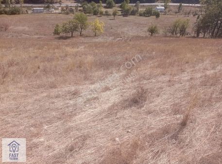 Bursa Keles Gököz Yatırımlık Tek Tapu Tarla