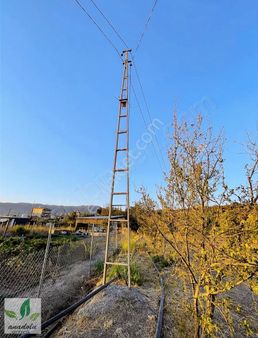 Emiralem Merkezde Hisseli Fiyatına 5 Tane Müstakil Tapu Fırsatı