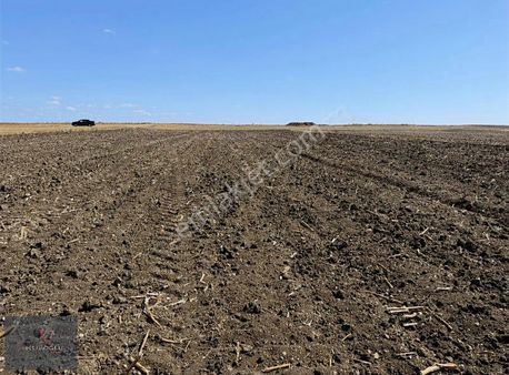 Vize Müsellim Köyünde Tek Tapu Satılık Tarla