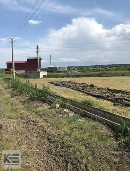 Kahvecioğlu Emlak'tan Altınay Muamlı Bölgesinde Satılık Tarla