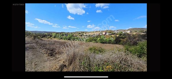 Çatalca Kalfaköy'de Satılık Tek Tapu Süper Arazi