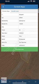 Eskişehir Çifteler Çatmapınar'da Satılık Tarla