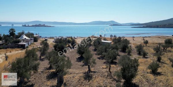 Rw Nefes'ten Cunda'da Denize Sıfır Merkezi Konumda Zeytinlik