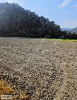 Villa İmarlı 10 Parsel Çıtlık