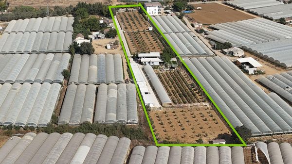 Çamönünde Tek Tapu Ev Sera Depo Bakıcı Evli Çiftlik Menderes İzmir