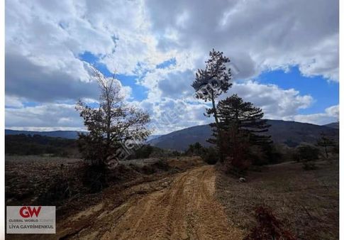 Gw Liya Gayrimenkul Büyükdeliler Köyü Yatırımlık Arsa