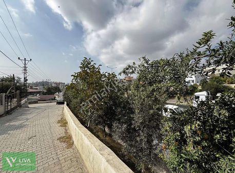 Satılık 6 Kat İmarlı Arsa İçinde 3 Adet Ev Vardır