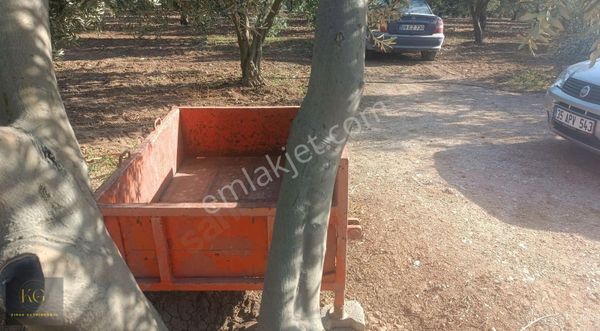 Maanisa Yunusemre Üçpınarda Satılık Zeytinlik