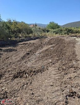 Urla İçmelerde Sarı Lekede Kalan 250 M2 Tarla Hissesi