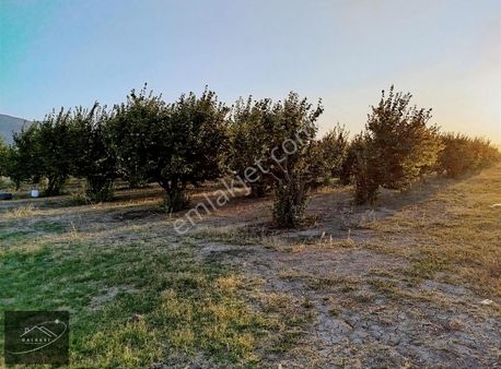 Galaksi Gayrimenkülden Satılık