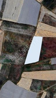 Burdur Karamanlı Kılavuzlarda Tarla Tarıma Uygun