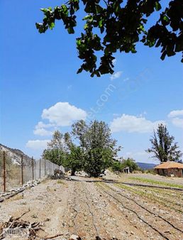 Konyaaltı Doyranda Satılık 5460m2 Tek Tapu Ev Ve Bahçe