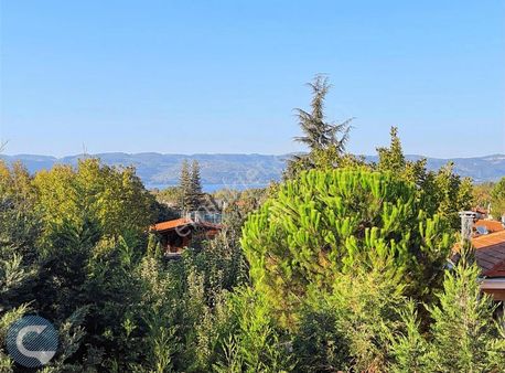 Sapanca Çayiçi Merkezi Konumda Göl Manzaralı Geniş 2+1 Daire