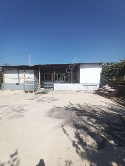 Yalova Altınova Cumhuriyet Mah. Sanayii Bölgesinde Satılık Arsa